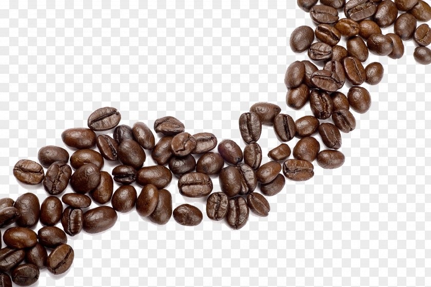 Black Beans Dandelion Coffee Cafe Tea Food PNG