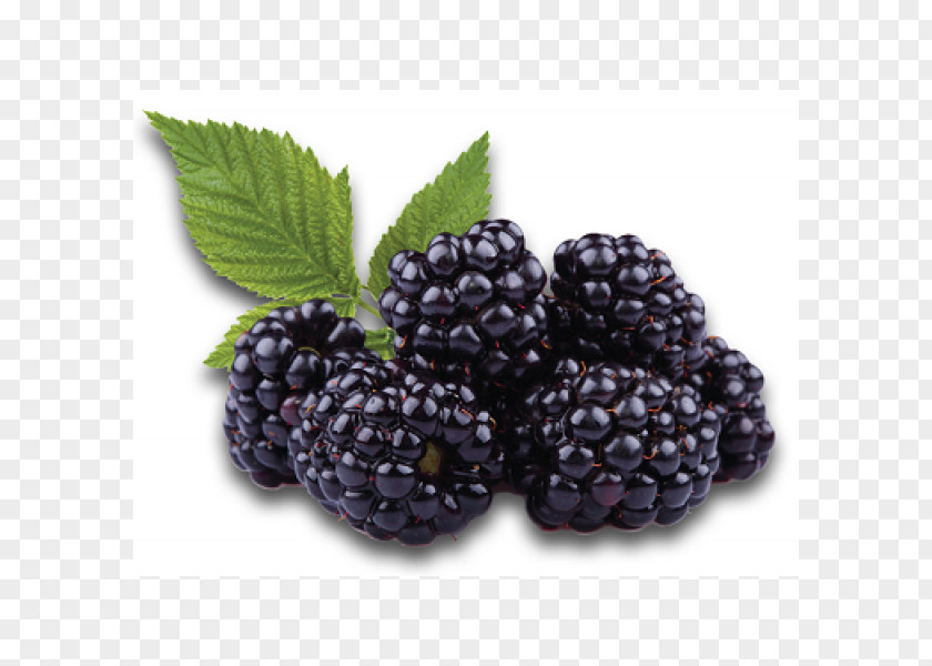 Blackberry Boysenberry Flavor Fruit Electronic Cigarette Aerosol And Liquid PNG
