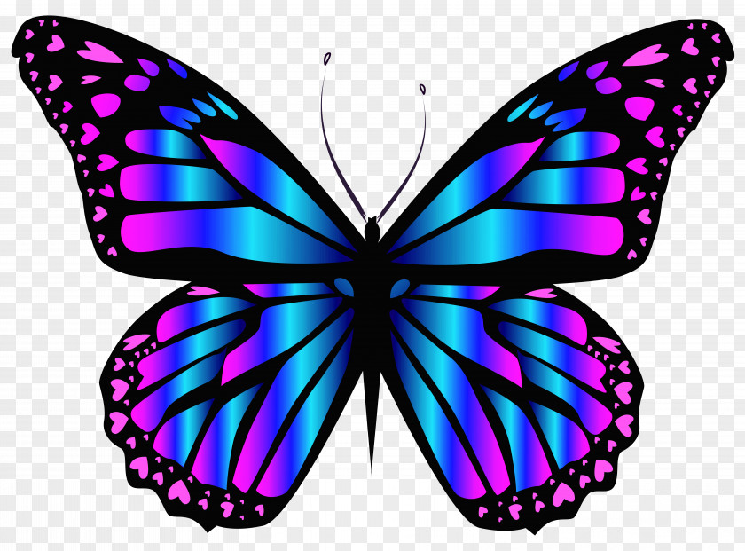 Blue And Purple Butterfly Clipar Image Clip Art PNG