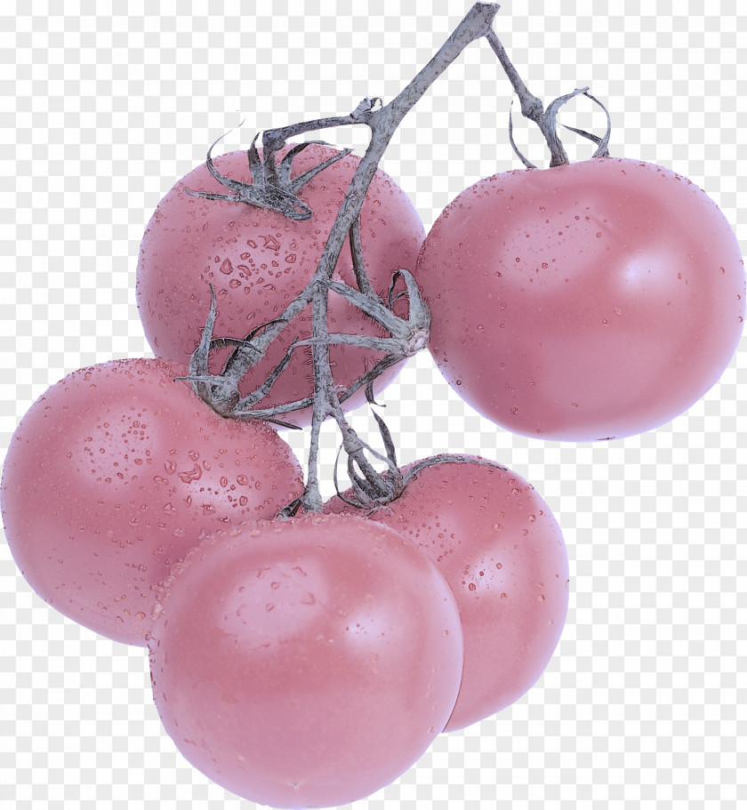 Fruit Plant Pink PNG