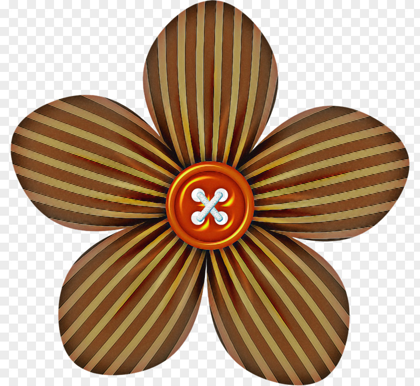 Orange PNG