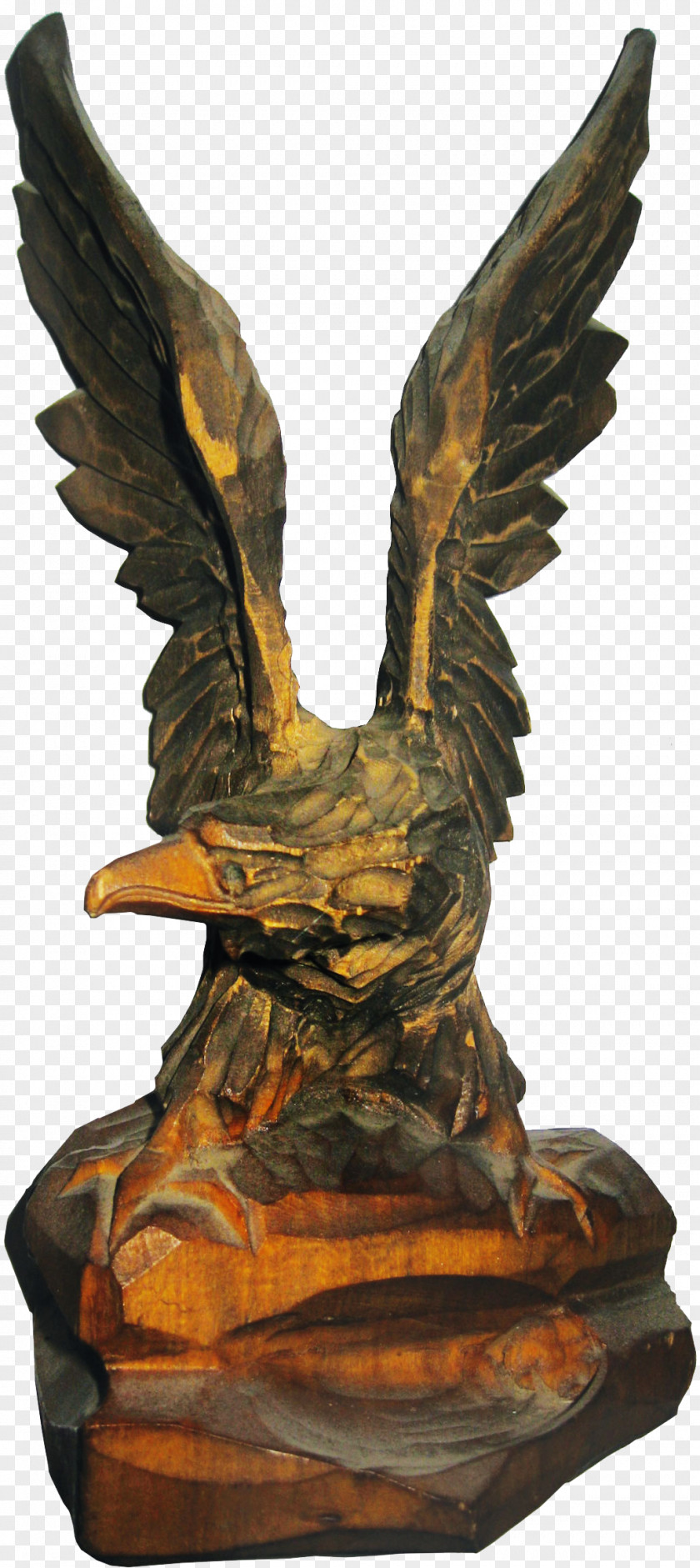 Eagle Bald Sculpture Bird Photography PNG