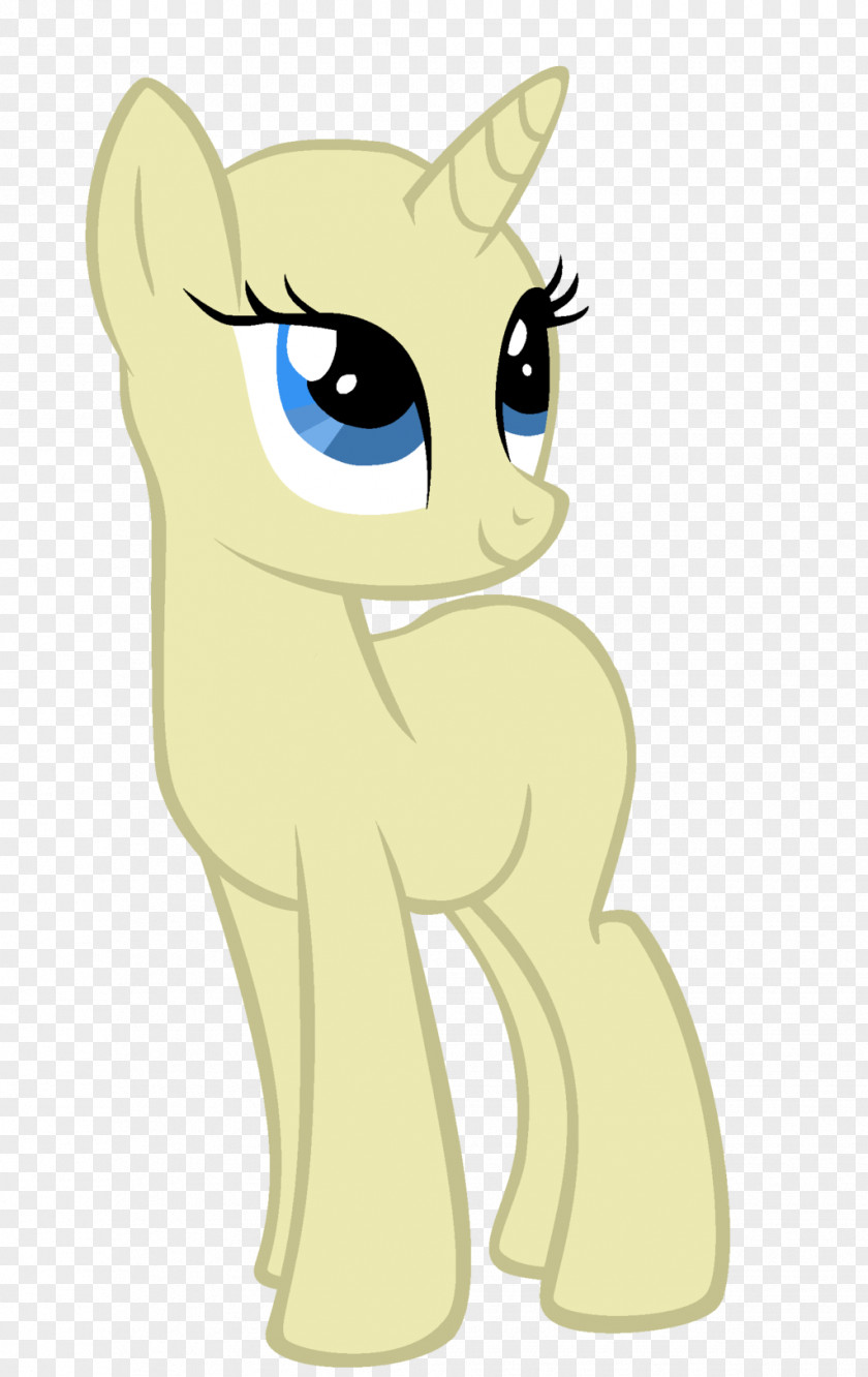 Kitten Whiskers Cat Horse Pony PNG