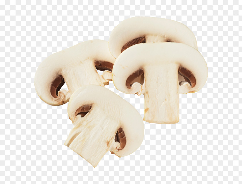 Mushroom Edible Oyster Common Fungus PNG
