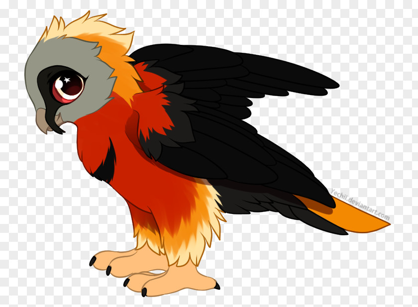 Parrot Clip Art Illustration Bird Beak PNG