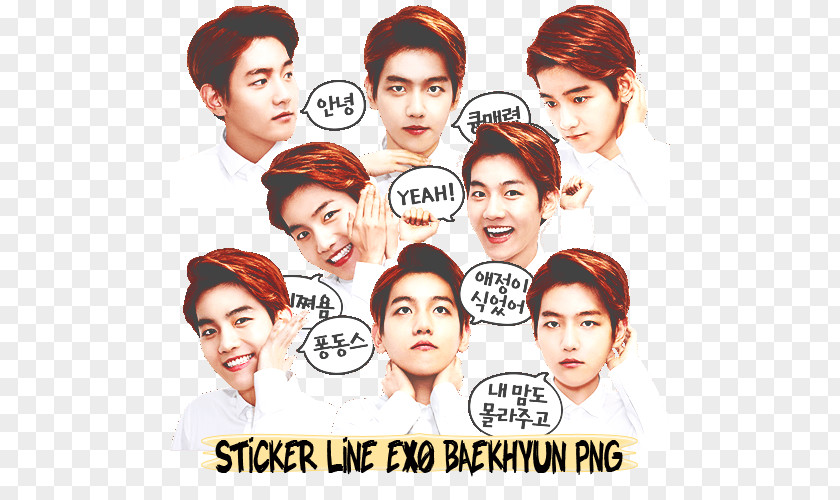Sticker Line Baekhyun EXO Nose Eyebrow Human Behavior PNG