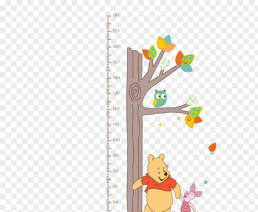 Winnie The Process Of Growth Chart Wall Decal Child Sticker PNG