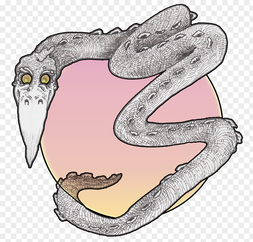 Boa Constrictor Rattlesnake Serpent Vipers Tooth PNG