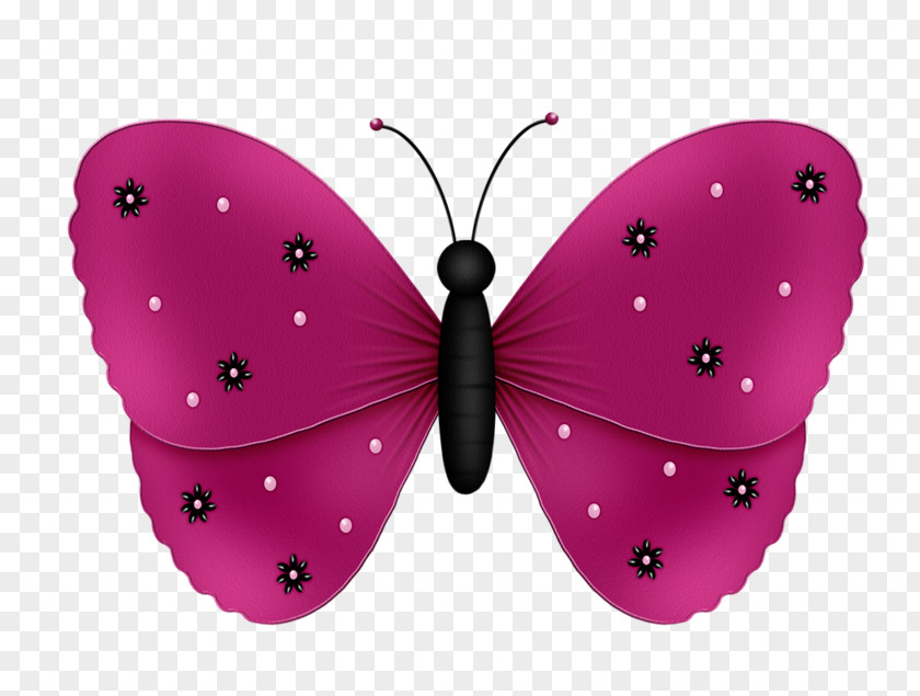 Cartoon Butterfly Butterflies & Insects Clip Art PNG