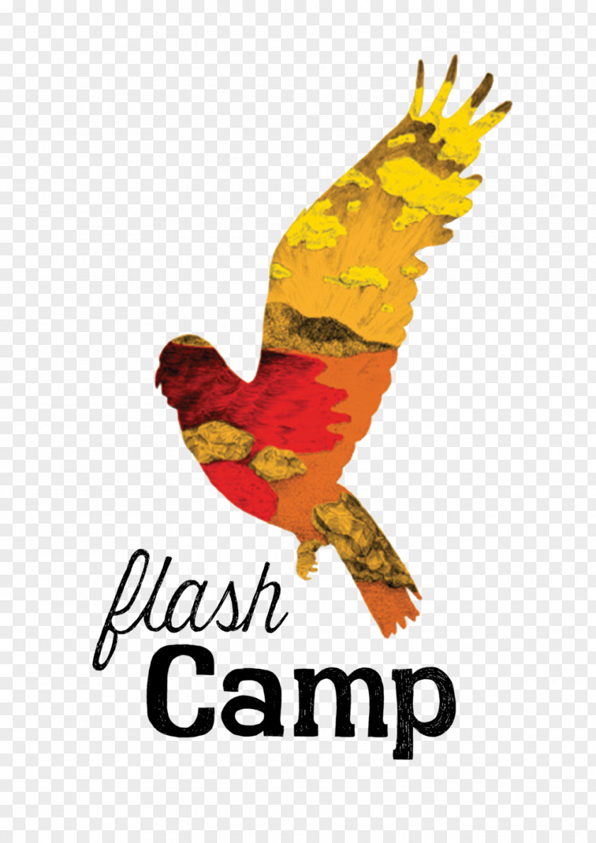 Hotel Flash Camp Kakadu National Park Falls Festival Byron Bay 2018 Camping PNG