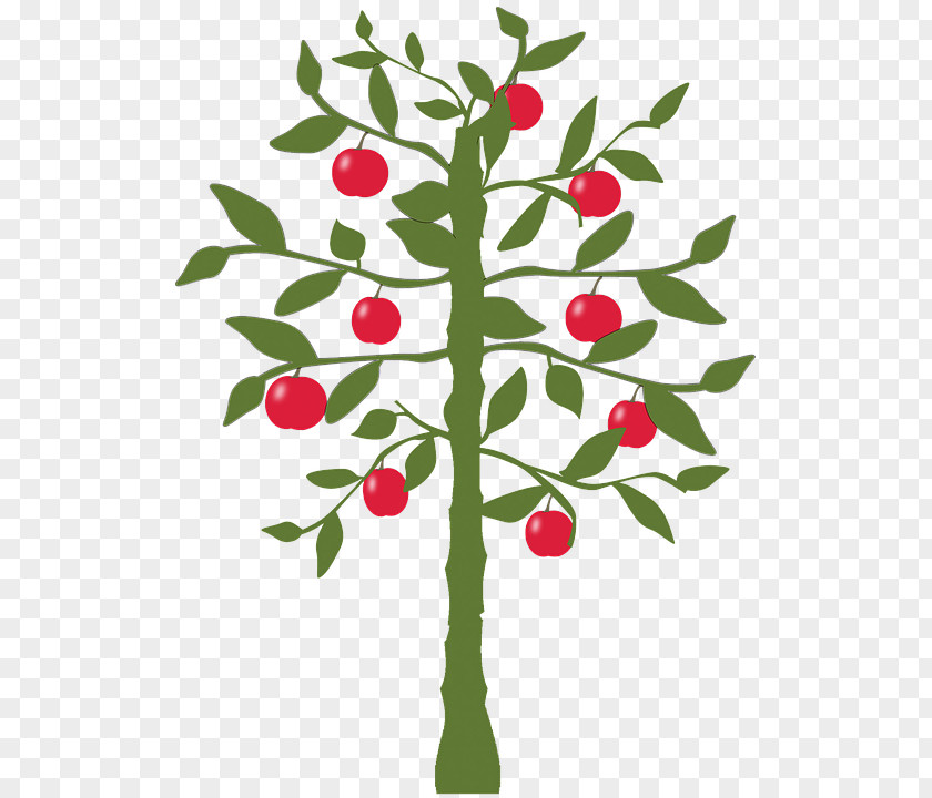 Lemon Fruit Tree Apple Citrus × Sinensis PNG