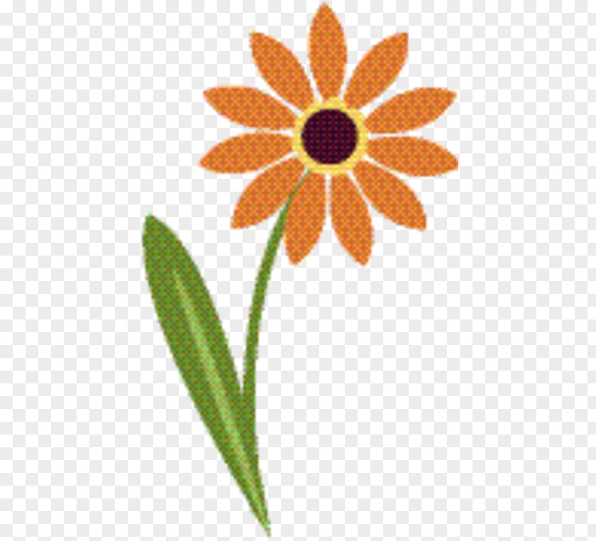 Sunflower Gerbera Marigold Flower PNG