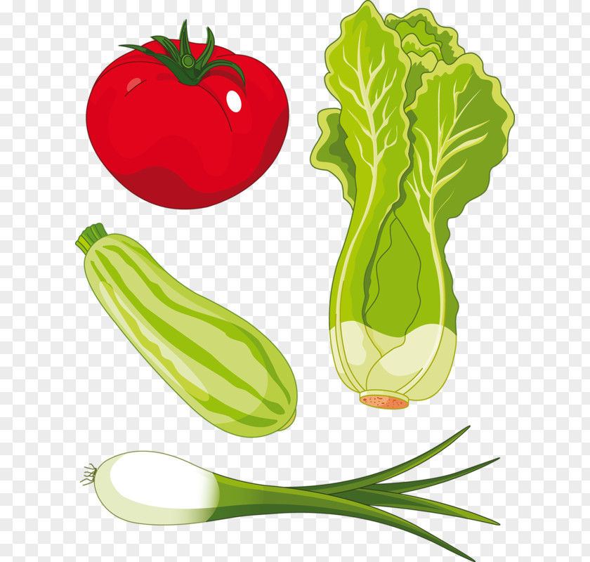 There Vegetable Plot Romaine Lettuce Salad Clip Art PNG