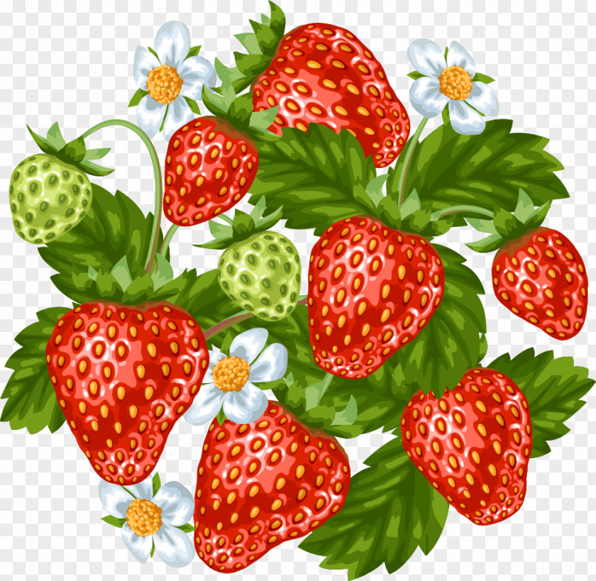 Vector Cartoon Strawberry Juice PNG