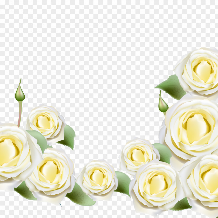 Vector White Roses Beach Rose Rosa Glauca Flower Illustration PNG