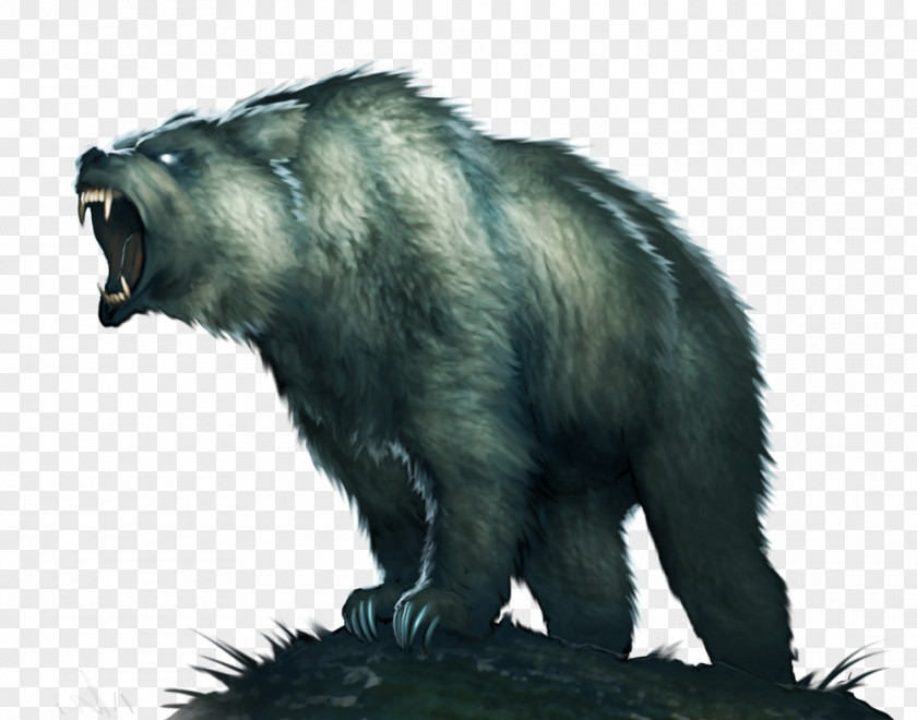 Bear Grizzly Animal PNG