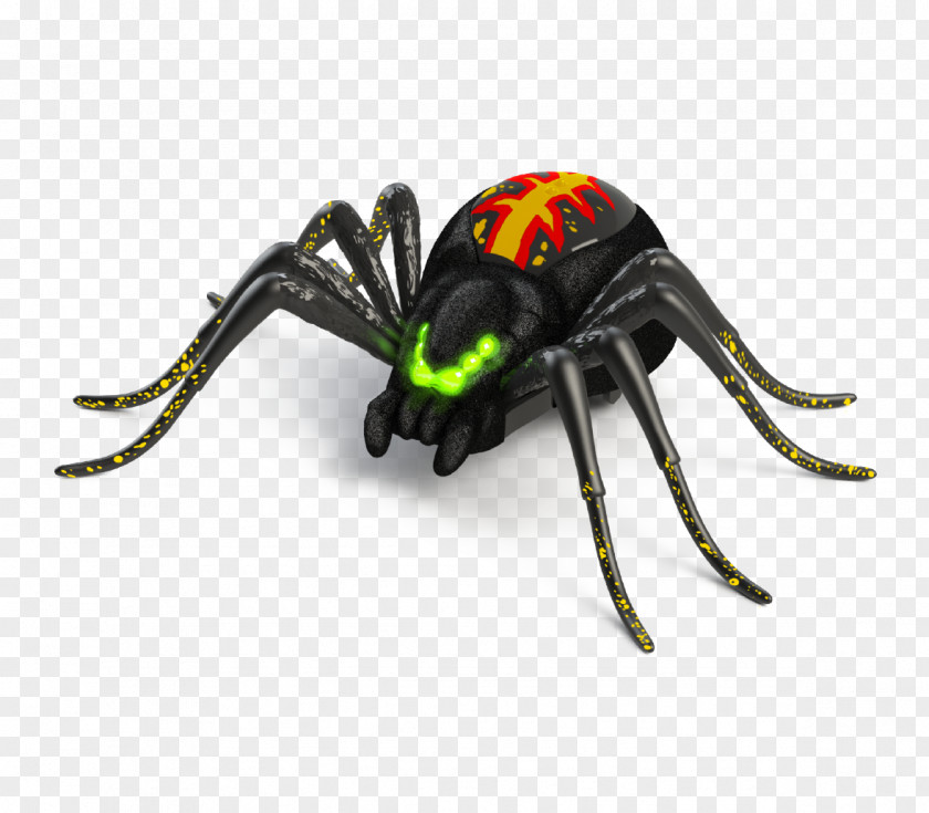 Spider Tarantula Toy Pet Terrarium PNG