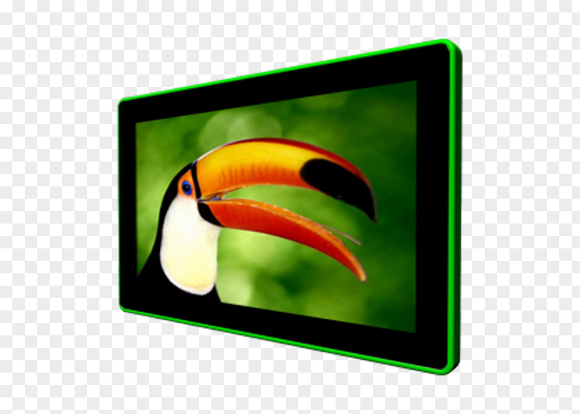 Toucan Toco Parrot Bird Panel PC PNG