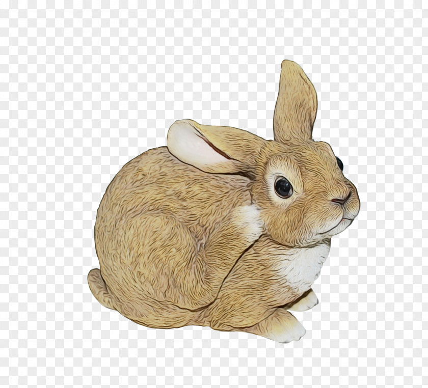 Audubons Cottontail Toy Rabbit Mountain Rabbits And Hares Animal Figure Hare PNG
