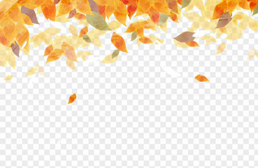 Beautiful Watercolor Autumn Leaves Leaf Color Painting PNG