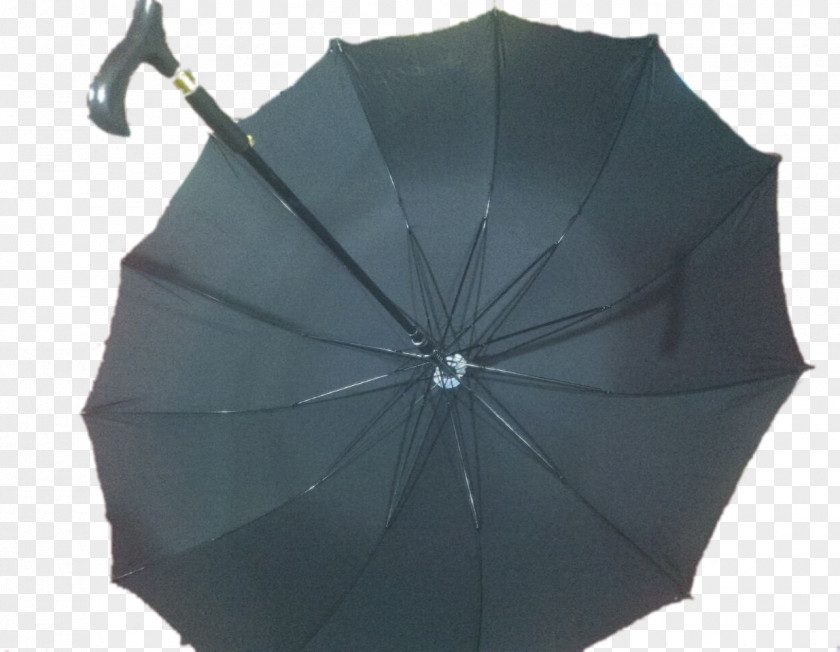 Cane Thicket Umbrella Assistive Walking Stick Handle PNG
