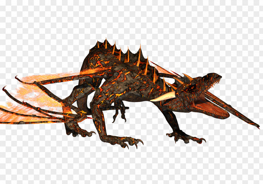 Dragons Reptile Lizard Dragon Legendary Creature Organism PNG