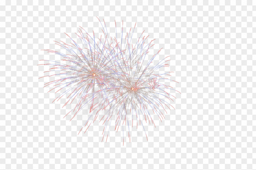 Fireworks Desktop Wallpaper Computer Tree Sky Plc PNG
