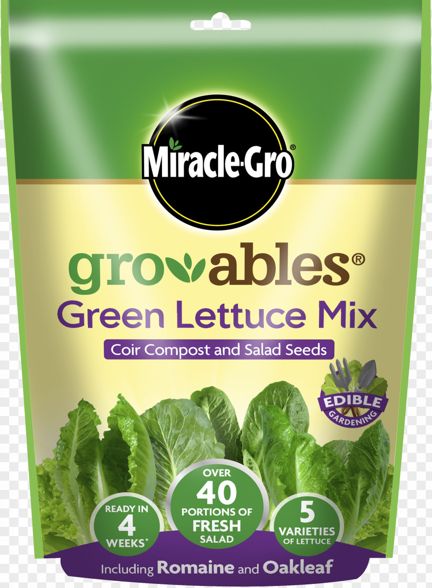 Green Lettuce Romaine Miracle-Gro Salad Herb PNG