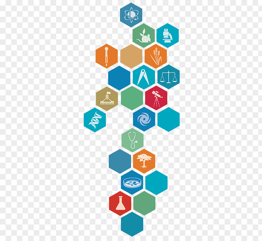 Hexagon Infographic Brand Technology Clip Art PNG