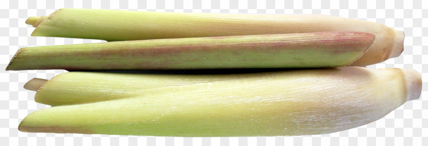 Lemongrass Juice Cymbopogon Citratus Cocktail Lemonade PNG