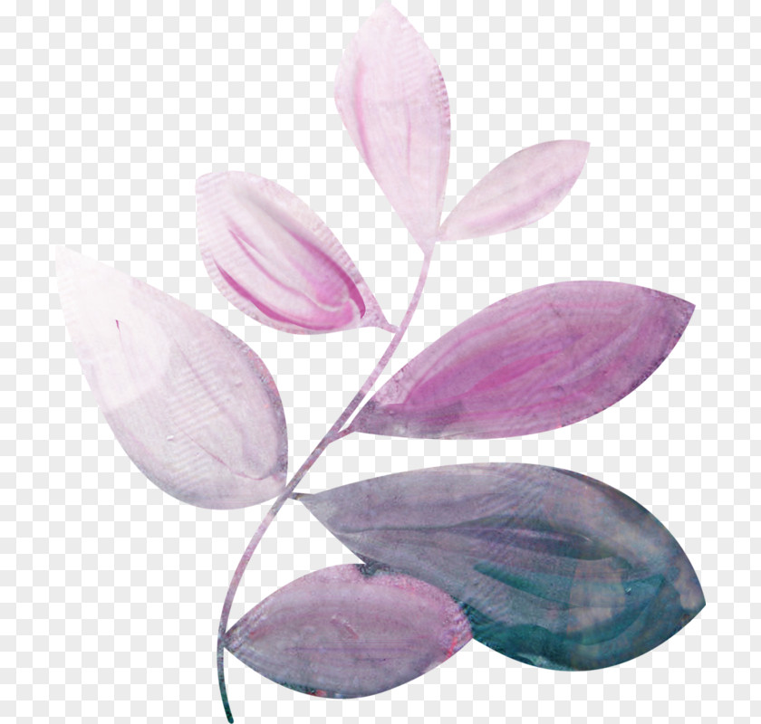Lilac Petal PNG