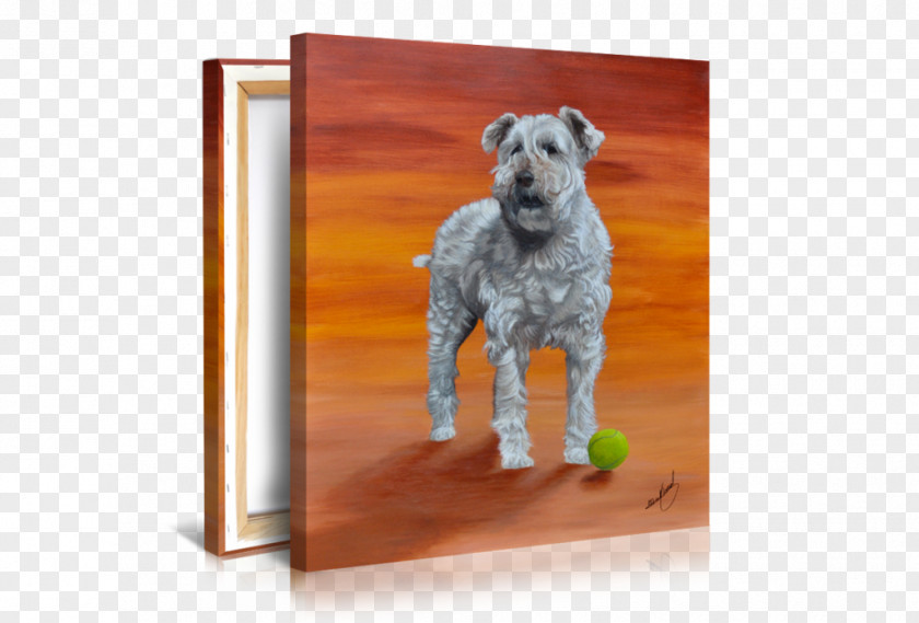 Puppy Schnoodle Lakeland Terrier Irish Dog Breed PNG