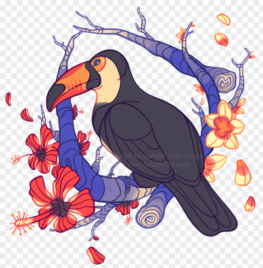 Toucan Bird Vertebrate Beak PNG