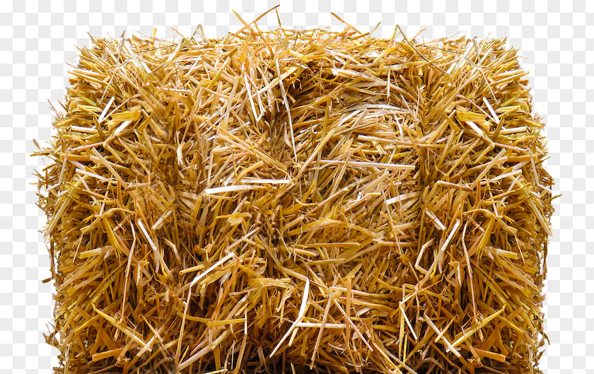 Agriculture Straw-bale Construction Hay Baler PNG