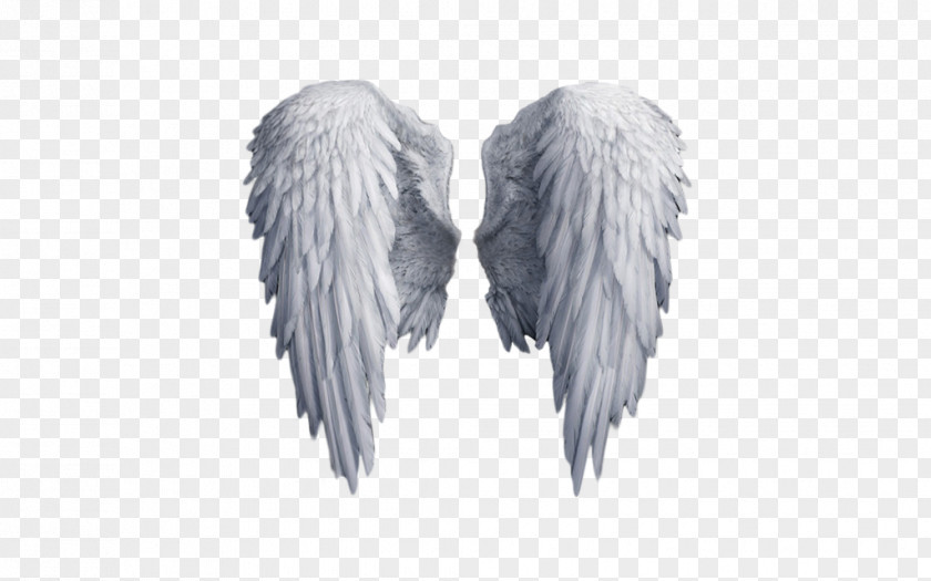 Angel Wings Clip Art PNG