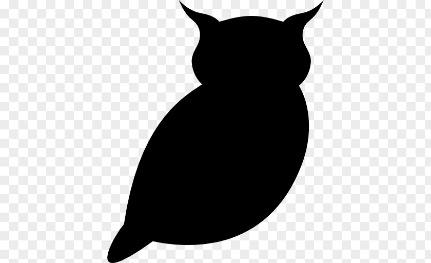 Bird Whiskers Owl Cat Clip Art PNG