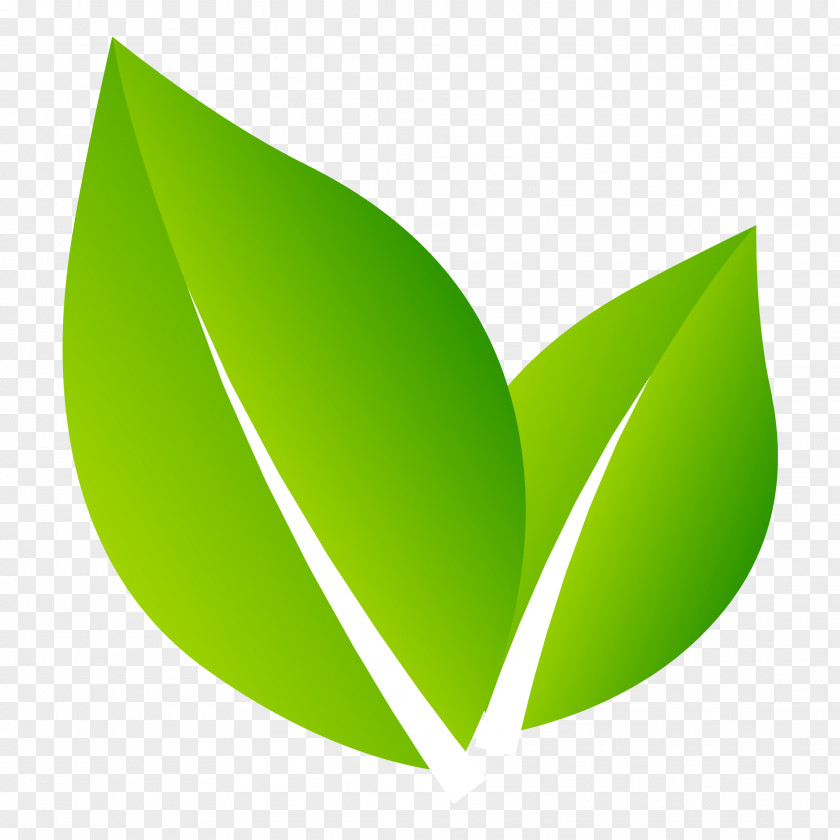 Design Logo Nature Leaf PNG