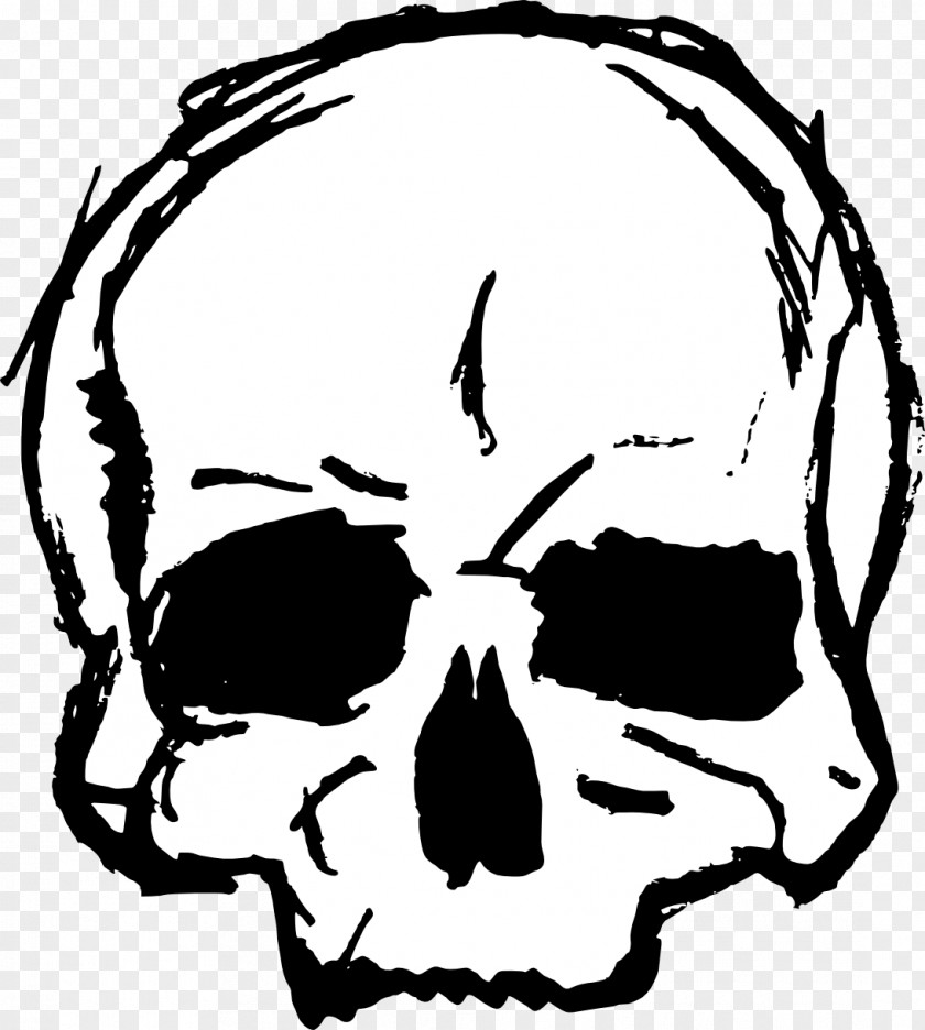 Drawing Skull Line Art Clip PNG