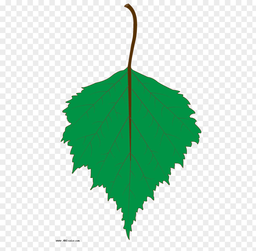 Leaf Tree Clip Art PNG