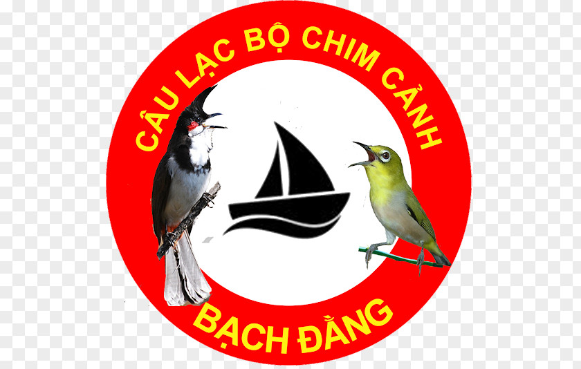 Logo Bird Advertising Beak Brand PNG