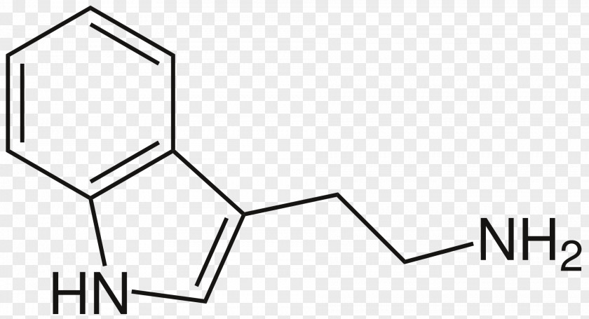 N,N-Dimethyltryptamine Indole 4-HO-DET Dipropyltryptamine PNG