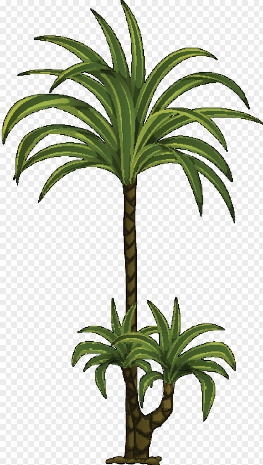 Palm Trees Flowerpot Plant Stem Houseplant INAV DBX MSCI AC WORLD SF PNG