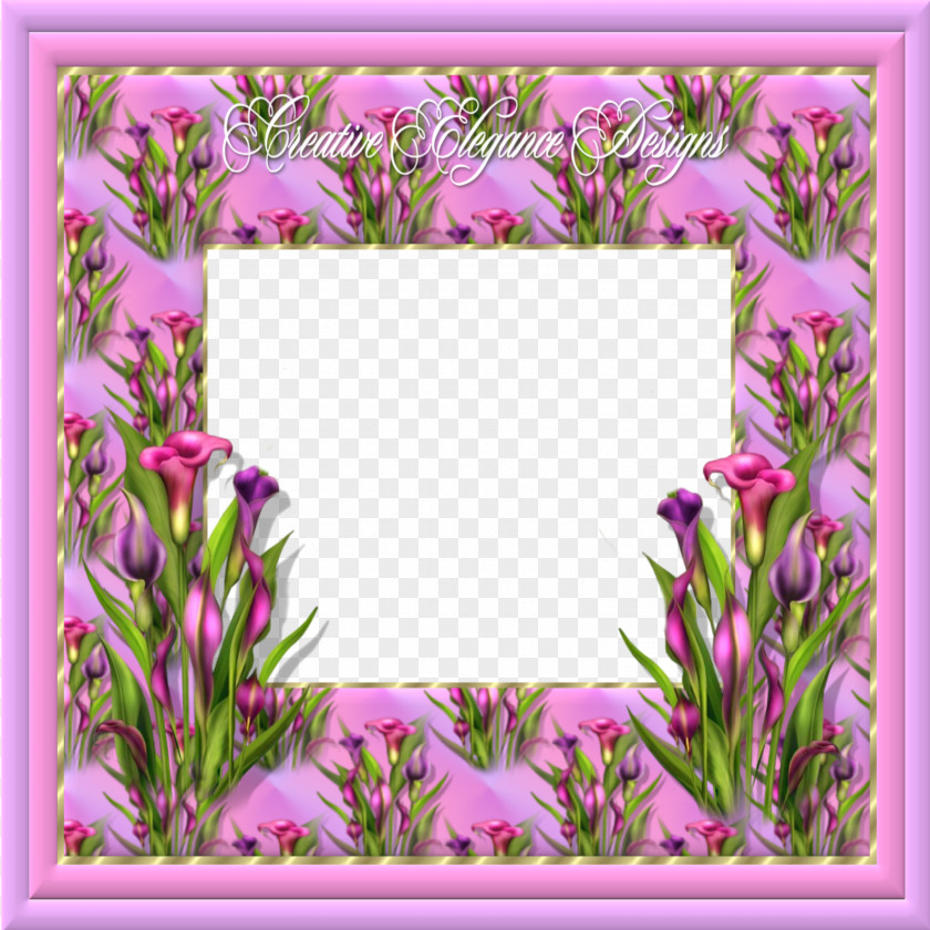 Photo Frame Picture Frames Flower Blog Floral Design PNG