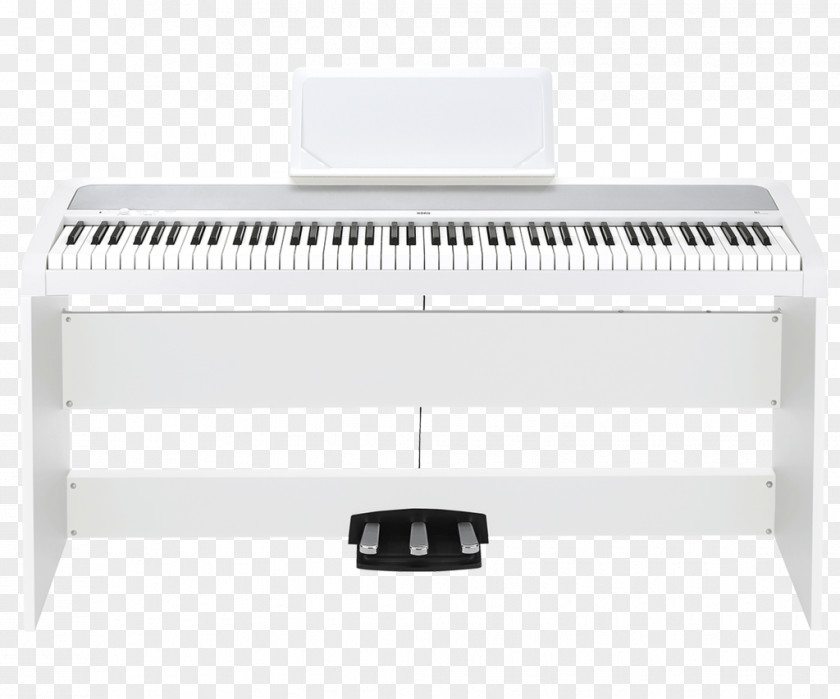 Piano KORG B1SP Korg SP-280 Electronic Keyboard Digital PNG