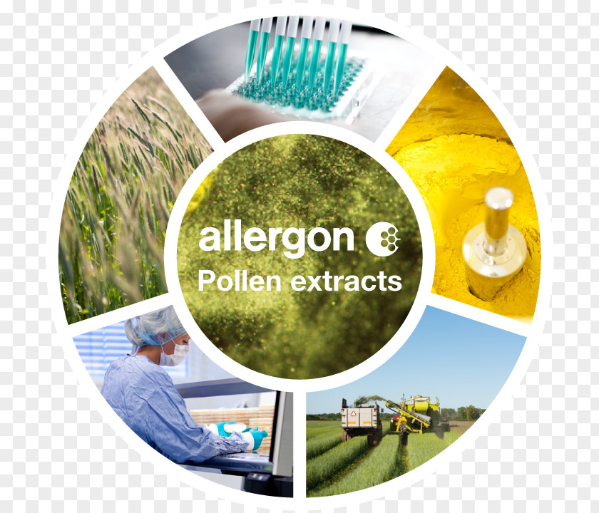 Pollen Allergon AB Mattress Protectors Allergy Ängelholm PNG