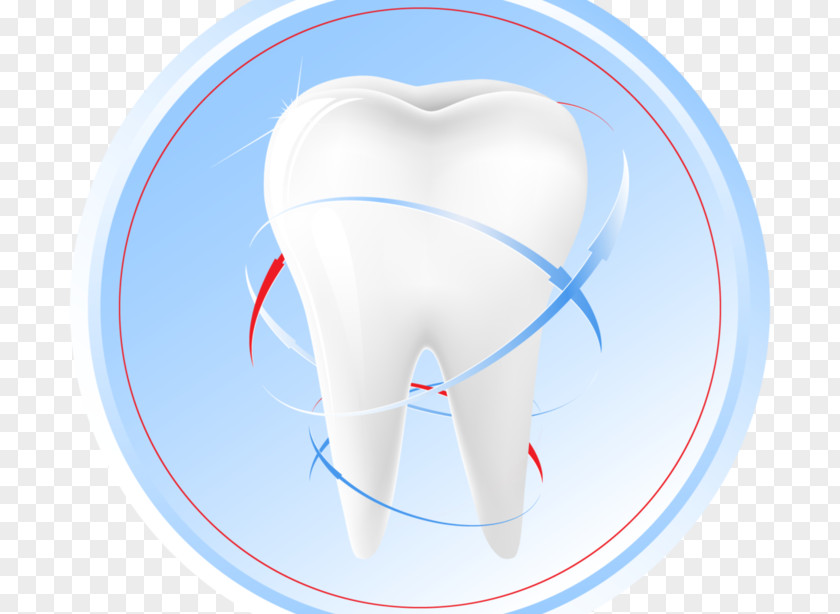 Toothbrush Human Tooth Fairy Dentistry PNG