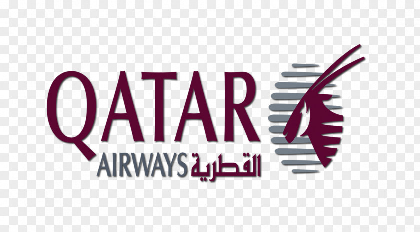 Travel Doha Qatar Airways Charles De Gaulle Airport Airline Business Class PNG