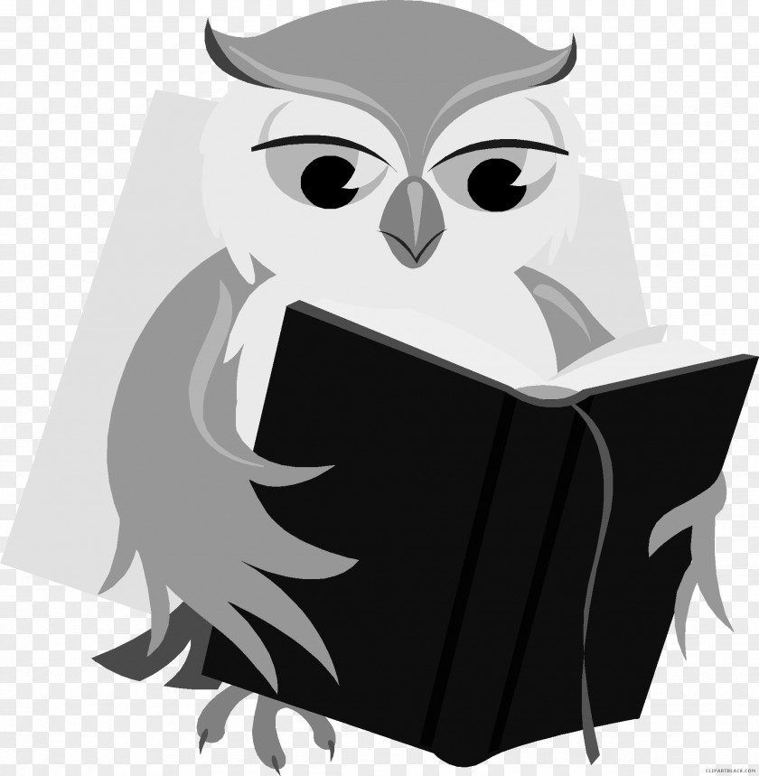 Book Baby Owl Reading Clip Art PNG