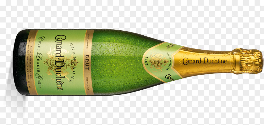 Champagne Glass Bottle PNG