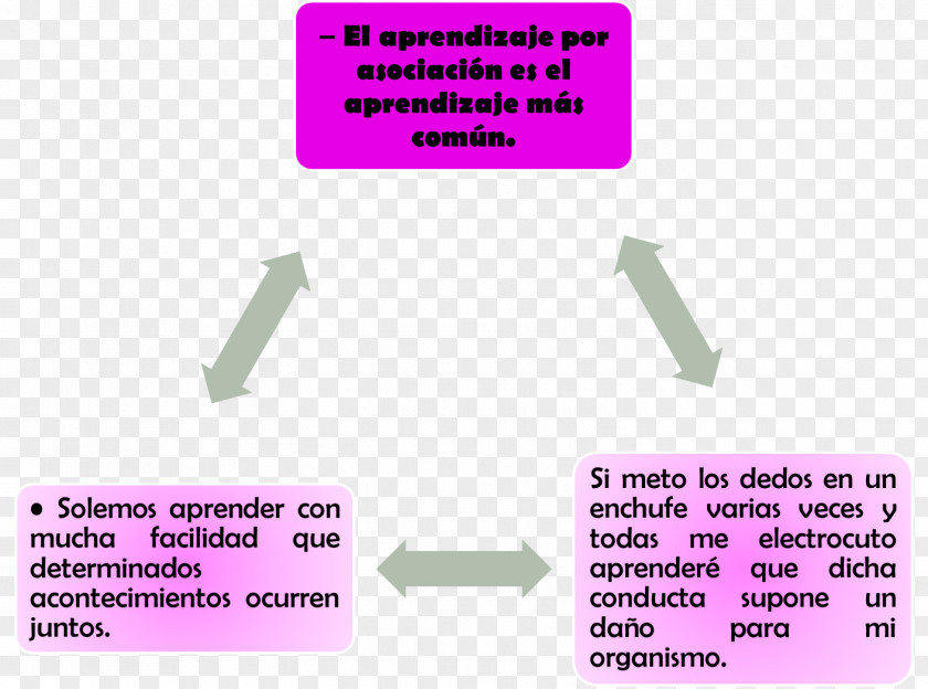 Learning Tipos De Aprendizaje Brand PNG